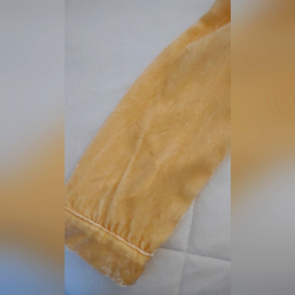 Sundance Velvet Silk Peplum Long Sleeve Button Down Blouse - Med - Picture 6 of 6